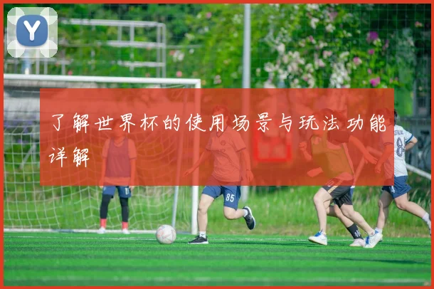 了解世界杯的使用场景与玩法功能详解