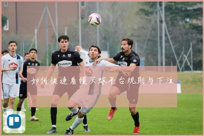 如何快速看懂买球平台规则与下注