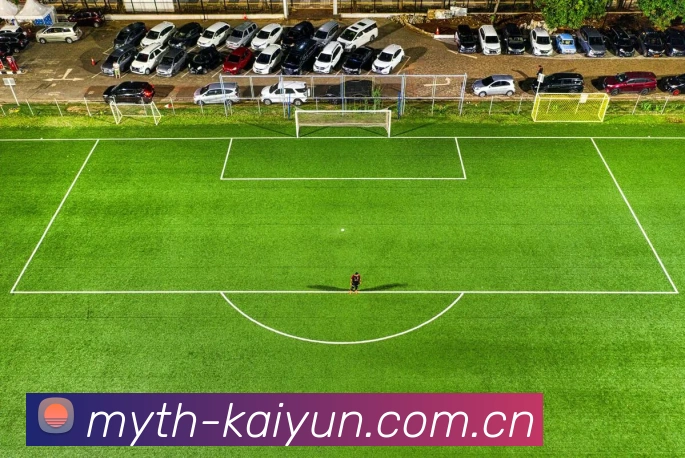开云kaiyun平台生态图